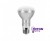 Светодиодная лампа FL-LED   R63  11W   E27   6400К 1000Лм  63*104мм  220В - 240В   FOTON_LIGHTING 
